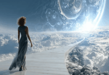 Lost Another Good One