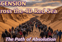 Unwinnable 3D War: 5D Ascension Now the Only Path