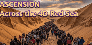 Unwinnable 3D War: 5D Ascension Now the Only Path