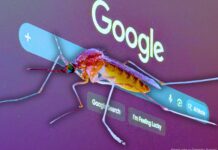 Google to Release 64 Million Bacteria-Infected Mosquitoes Across California and Florida Over the Next Two Years