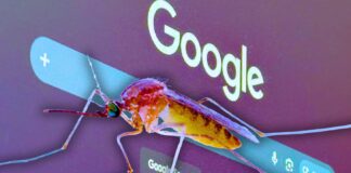 Google to Release 64 Million Bacteria-Infected Mosquitoes Across California and Florida Over the Next Two Years