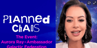 Planned Chaos: The Signal Is Already in Your Field