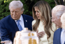 TSUNAMI OF TRUTH: THE BLESSING OF THE BEES AND SYMBOLISM WILL BE THEIR DOWNFALL