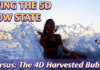 ASCENSION: Difference between 5D Flow State and 4D Harvested Bubble