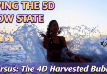 ASCENSION: Difference between 5D Flow State and 4D Harvested Bubble