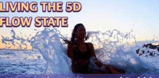 ASCENSION: Difference between 5D Flow State and 4D Harvested Bubble