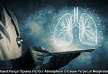 The Plan to Inject Fungal Spores Into Our Atmosphere to Cause Perpetual Respiratory Infections