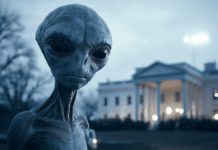 Why the Disclosure Was Always Coming: Consciousness, Cosmic Cycles, and the Physics of Revelation
