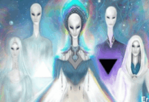 The Arcturian Group: Phase of Exposure