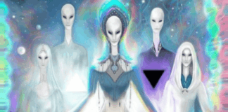 The Arcturian Group: Phase of Exposure
