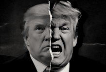 Planned Chaos: The Magician, the Mirror & the Co-Creative Field