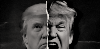 Planned Chaos: The Magician, the Mirror & the Co-Creative Field