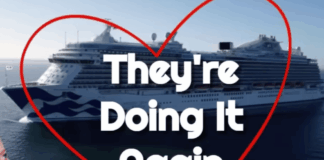 Welcome Aboard the Hantavirus Cruise