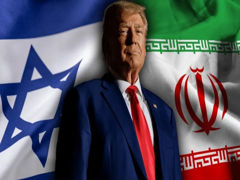 8988bb1c-a8d4-45bb-8f5f-e47b8212bed7_800x600