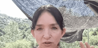 Earth Alliance: STARLINK & 12 Pyramid Activation