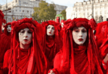 The Climate Cult