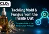 🍄 Tackling Mold & Fungus from the Inside Out 🍄