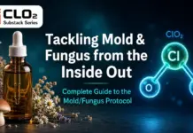 🍄 Tackling Mold & Fungus from the Inside Out 🍄
