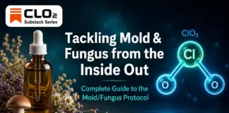 🍄 Tackling Mold & Fungus from the Inside Out 🍄