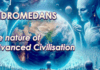 The Golden Age is Emerging: 9 Keys To Becoming a Planetary Shift Facilitator