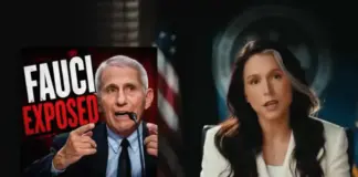 ‘Lies. Disinformation. Censorship’: Gabbard releases ‘never-before-seen’ docs to prove Fauci helped bury COVID files