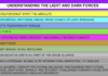 Unraveling the cosmic hierarchy: Light vs. Dark forces explained.