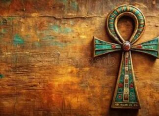 Do You Want to Live Forever? The Curious Theory of Quantum Immortality
