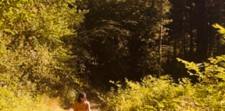 I thought I needed to fix my life. Nature showed me I needed to remember it.