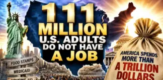 111 Million U.S. Adults Do Not Have A Job And America Spends More Than A Trillion Dollars Per Year On A Social Safety Net For Them