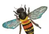 “Beekeepers Don’t Get Cancer”