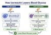 Ivermectin, Fenbendazole and Diabetes