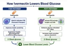 Ivermectin, Fenbendazole and Diabetes