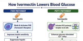 Ivermectin, Fenbendazole and Diabetes