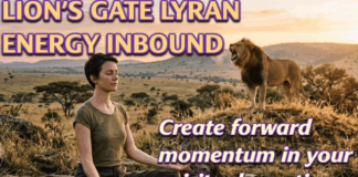 Lyran Energies Coming in Strongly During Lion’s Gate: How to Capitalise