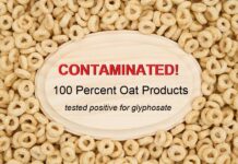 Big Food has Taken Over the USDA National Organic Program – Why I am no Longer Importing Certified Organic Food