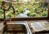 The Poison in the Pipe: Reclaiming Water, Governance, and Life Through Direct Democracy