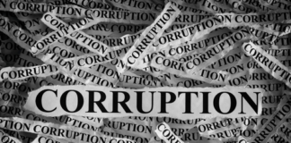 Washington Loses Up to Half a Trillion Dollars Every Year to Fraud