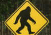 Sasquatch