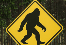 Sasquatch