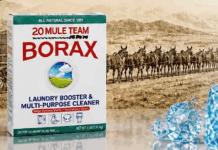 The Borax ‘Conspiracy’ — Solved (It’s Not a Conspiracy. It’s Worse.)