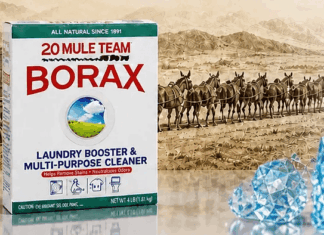 The Borax ‘Conspiracy’ — Solved (It’s Not a Conspiracy. It’s Worse.)