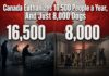 Canada Euthanizes 16,500 People a Year, And Just 8,000 Dogs