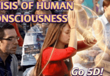 3D Crisis of Human Consciousness Causing Intractable Problems: Go 5D