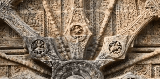 Reincarnation and the Near Death Experience